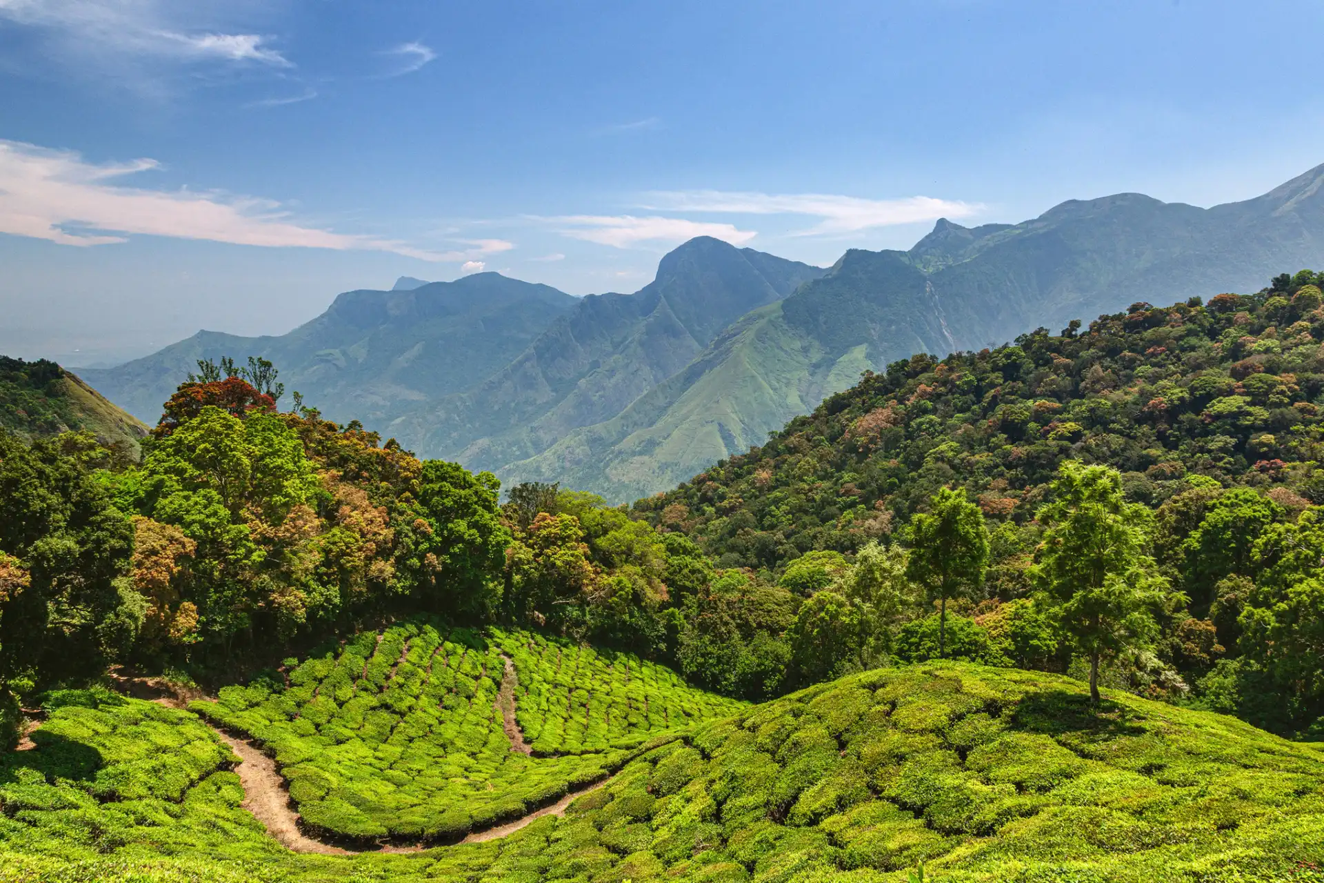 11 Days Kerala Boutique Cycling Tour